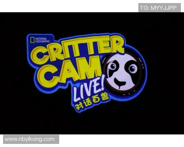 梦中与足球明星签名争执引发的奇幻冒险之旅