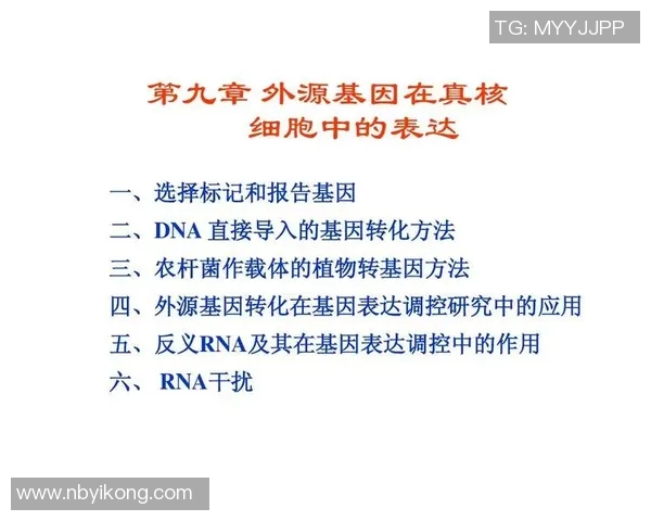 探索体育俱乐部的英文表达及其在国际交流中的重要性与应用